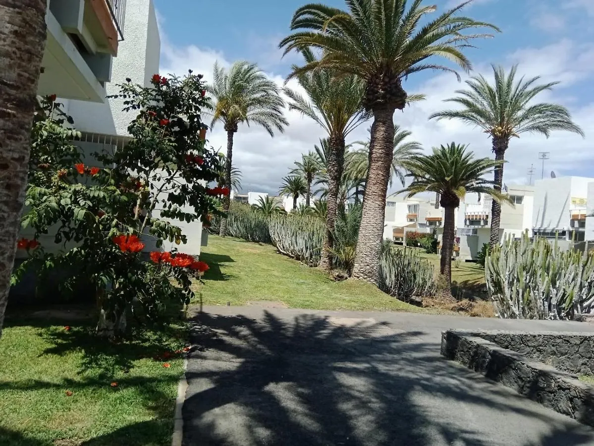 Apartment Bonito Apartamento De 1 Habitacion Arona  Spain